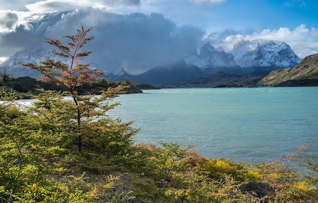 Landschap met meer Lago del Pehoe in het Torres del Paine nationaal park, Patagonië, Chili.