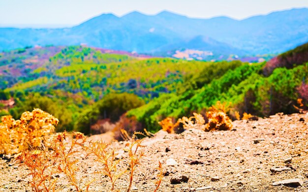 Landschap met planten en prachtig landschap van de Middellandse Zee in Teulada, Carbonia-Iglesias. Panorama in Zuid-Sardinië eiland van Italië. Sardinië in de zomer. provincie Cagliari. Gemengde media.