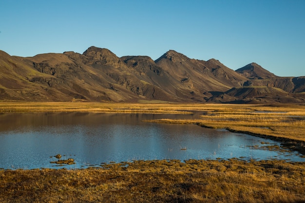 Landschap met prachtige natuur in IJsland.