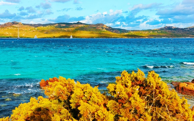 Landschap met romantische ochtend op Capriccioli Beach in Costa Smeralda van de Middellandse Zee op het eiland Sardinië in Italië. Hemel met wolken. Provincie Porto Cervo en Olbia. Gemengde media.