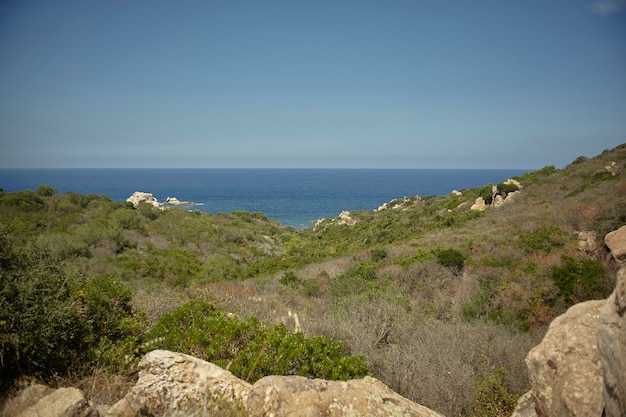 Foto landschap met rotsen, typische mediterrane vegetatie en de achtergrondzee tot aan de horizon.