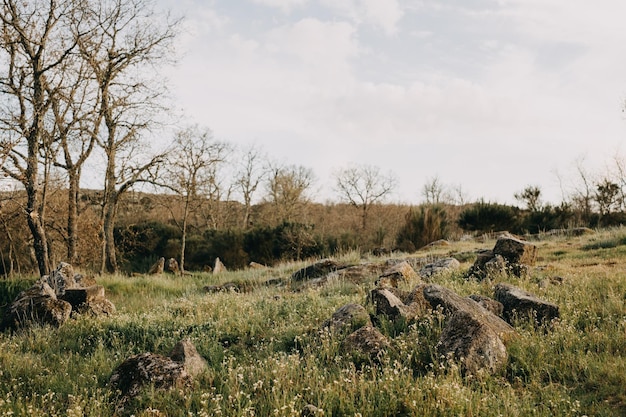 Foto landschap met rotsen