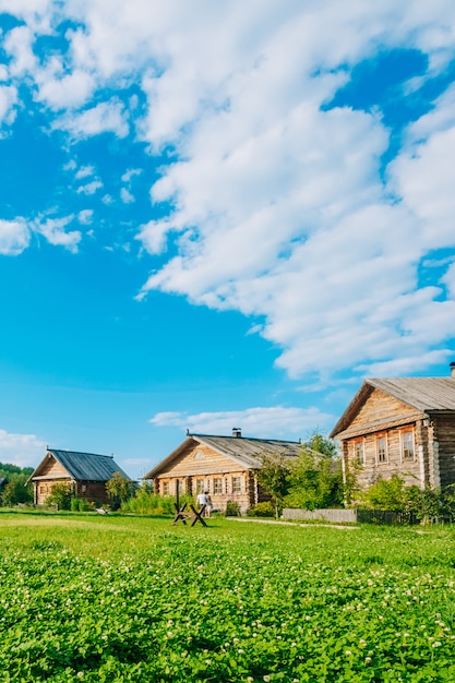 Landschap met Russische houten huizen. Platteland