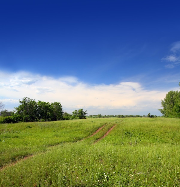 Landschap met spoor in het veld