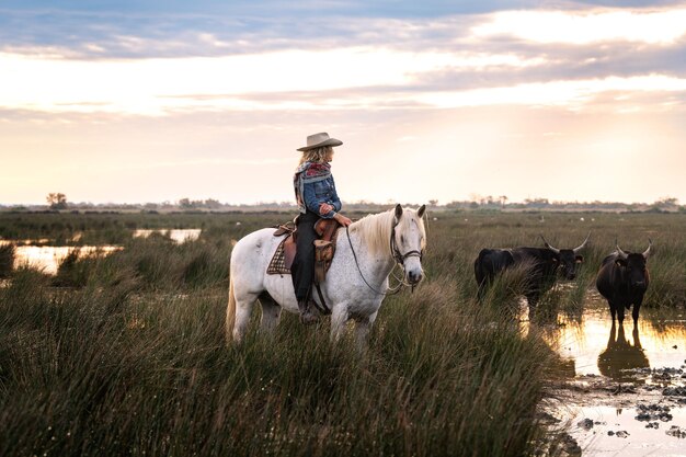 Foto landschap met stieren en bewakers in camargue