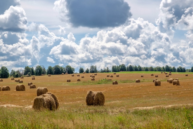 Landschap met strobalen in de zomer