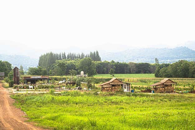 landschap met traditioneel bergchalet en frisgroene bergweiden in de zomer