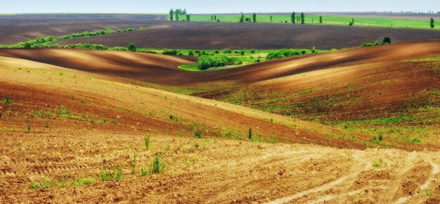 Landschap met velden en heuvels