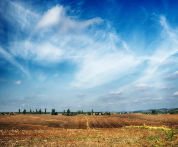 Landschap met velden en heuvels