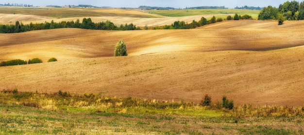 Landschap met velden en heuvels