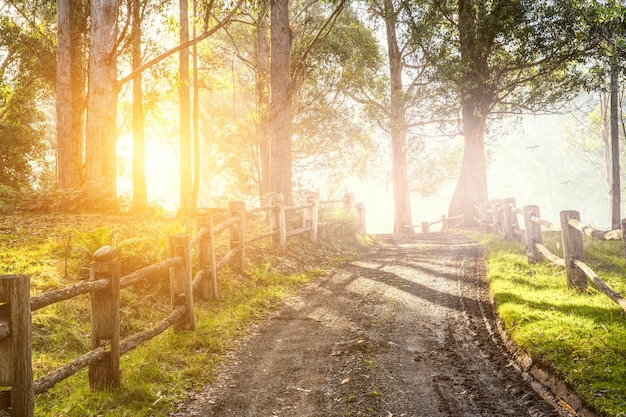 Landschap met weg. Gemengde media