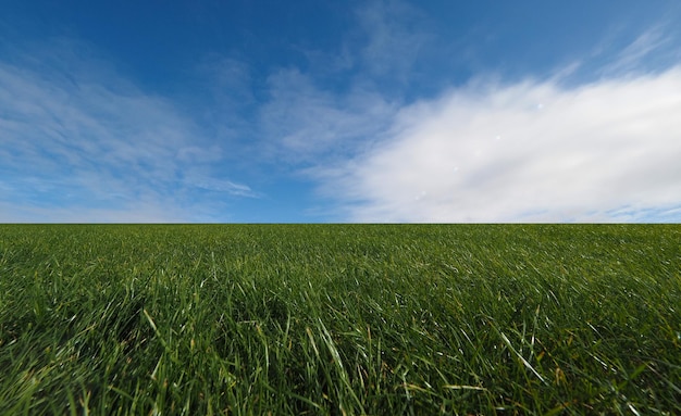 Landschap met weide en lucht met fakkels