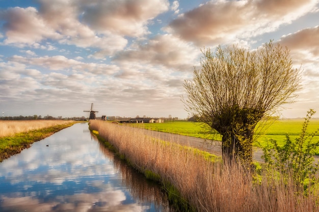 Landschap met windmolen en wolkenbezinning in water