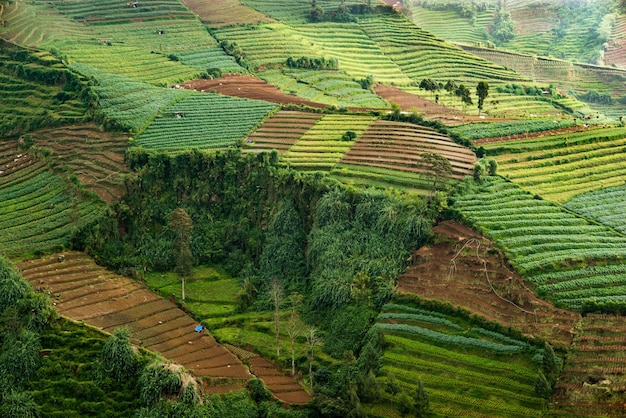 Landschap Midden-Java Indonesië