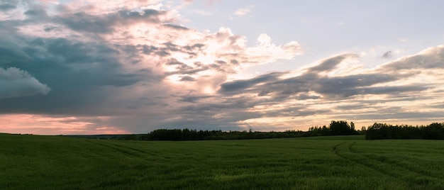 Landschap. Mooie onweerswolken over de weilanden. Voor de regen. Horizontale foto.