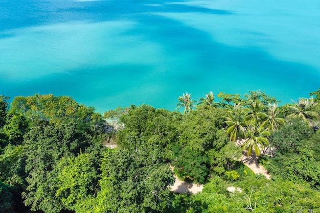 Landschap natuur prachtige oceaan en zandstrand met boom in Surat Thani Thailand Bovenaanzicht zeegezicht