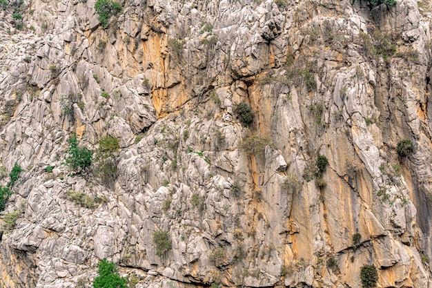 landschap, natuurlijke textuur - steile rotsachtige muur met scheuren en vegetatie