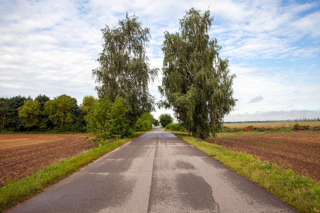 Landschap op de asfaltweg voor voertuigen