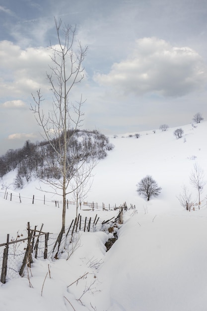 Landschap op de koude winterochtend Locatie plaats Giresun Hooglanden Zwarte Zee Turkije