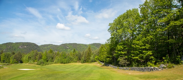 Landschap op een golfbaan met groen gras, bomen, mooie blauwe hemel, panorama