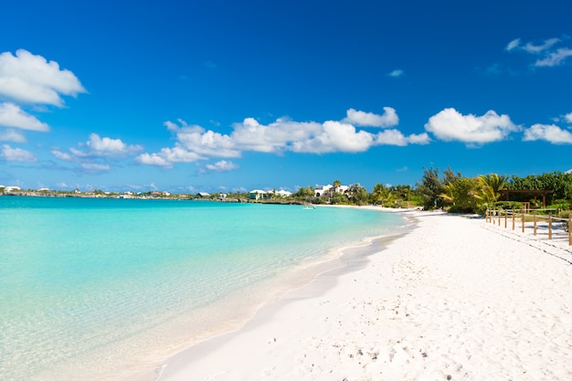 Landschap op het Caribische tropische eiland