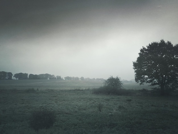 Landschap op het platteland tegen een heldere lucht