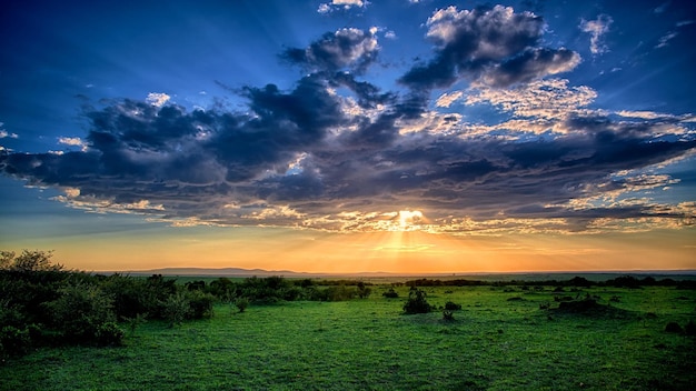 Landschap op het platteland tegen een schilderachtige lucht