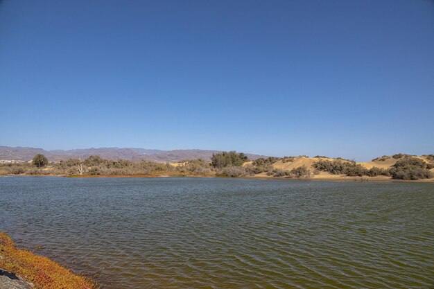 landschap op het Spaanse Canarische eiland Gran Canaria met de lagune La Charca de Maspalomas