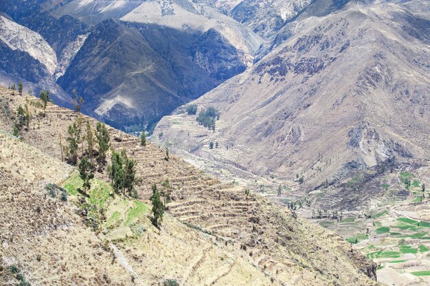 Landschap Peru