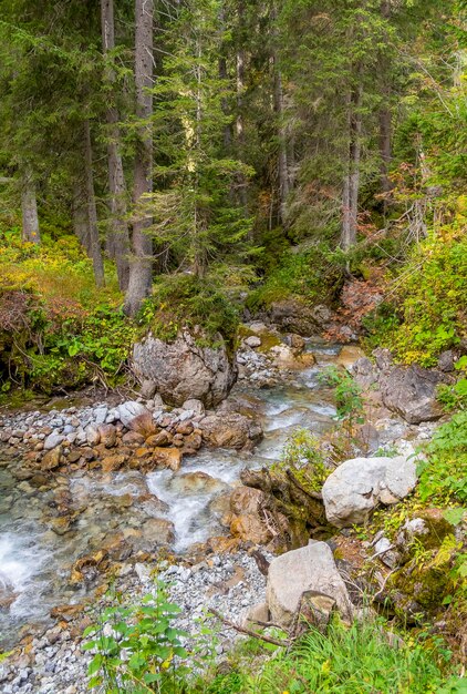 Landschap rond de rivier de Lech