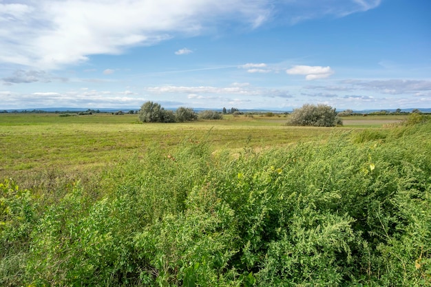 Landschap rond Illmitz in Oostenrijk