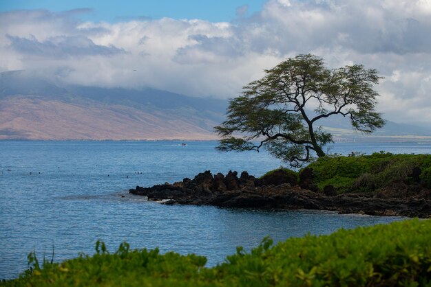 Landschap rustig strand. Hawaii achtergrond, tropisch Hawaiiaans paradijs.