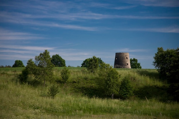 landschap sommer