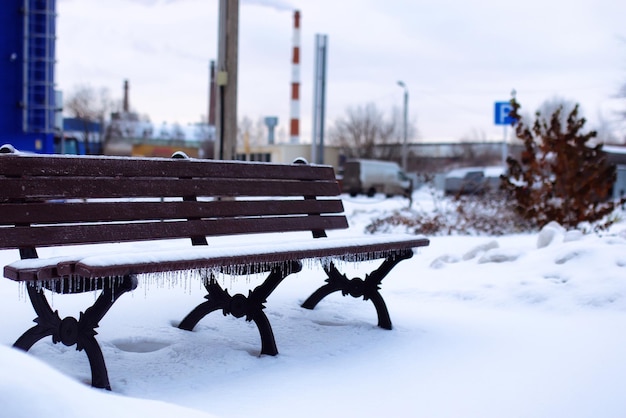 Landschap stedelijk centraal park op de eerste besneeuwde dag van de winter