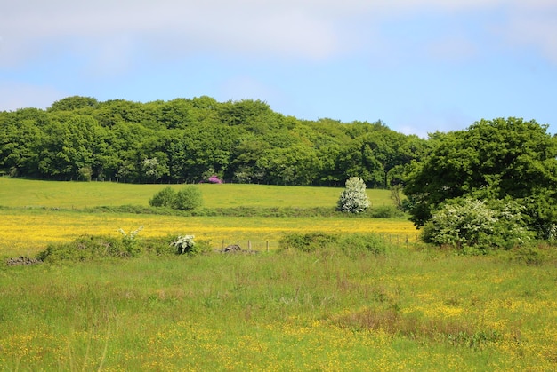 Landschap tegen de lucht