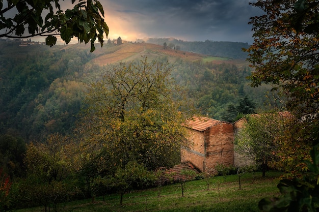 Landschap van Barolo-wijngebied