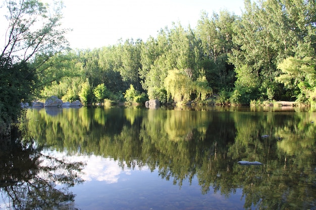 landschap van bergbeek in de zomer