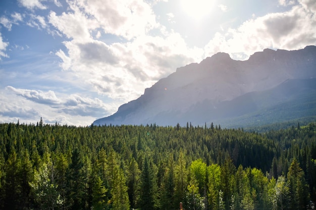 Landschap van bergketen met dennenbos in Canada