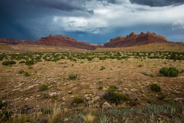 Landschap van canyonlands national park