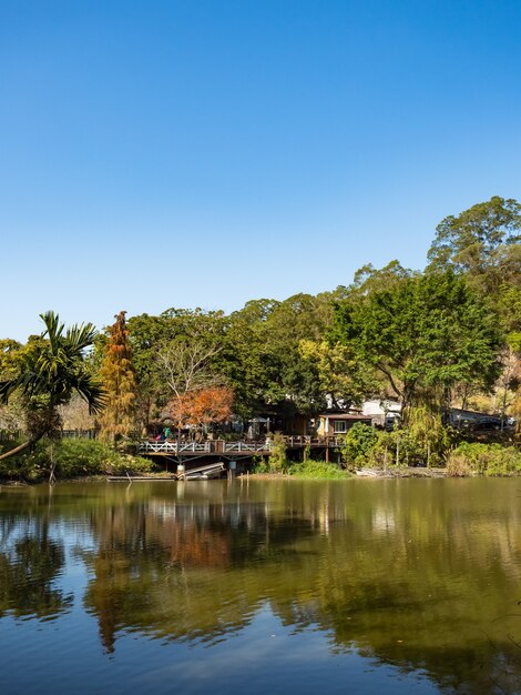 Landschap van checheng houtvijver, nantou, taiwan