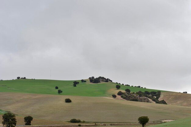 Landschap van de dehesa granenistica van de oostelijke bergen van Granada - Spanje