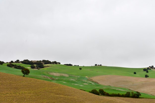 Landschap van de dehesa granenistica van de oostelijke bergen van Granada - Spanje