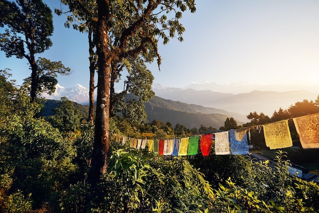 Landschap van de Grote Himalaya