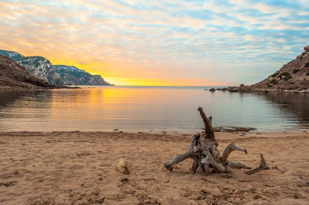 Landschap van de kust van Sardinië Porticciolo