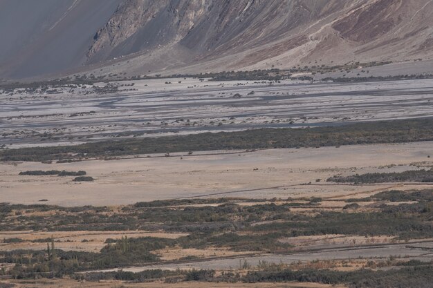 Landschap van de natuur