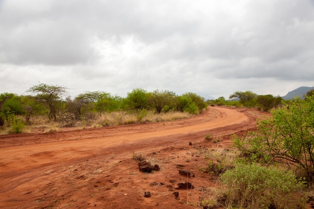 Landschap van de savanne, op safari in Kenia, rode aarde weg