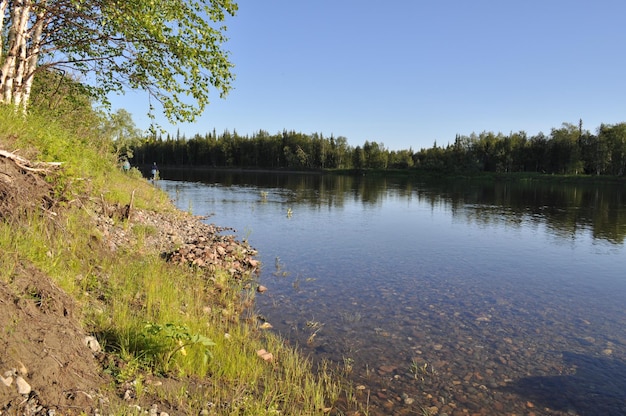 Landschap van de taiga-rivier