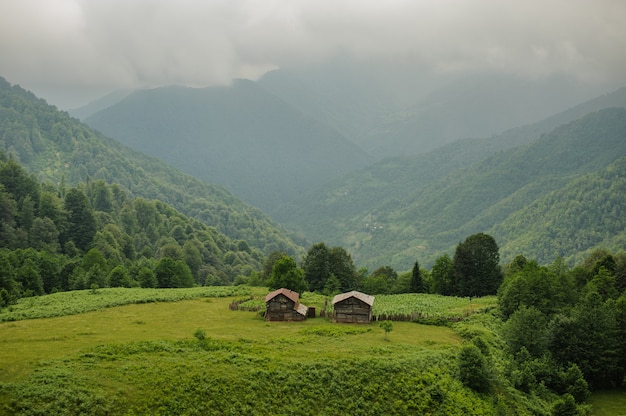 Foto landschap van de twee blokhuizen die zich op het groene gebied met groene bergen met mist bevinden