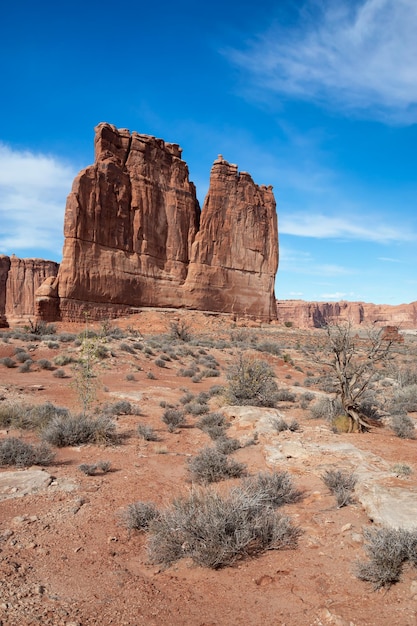 Landschap van de unieke zandstenen rotsformatie in de woestijn American Nature Background