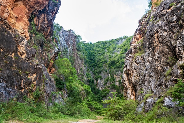 Landschap van de vallei in de provincie Phattalung in het zuiden van Thailand